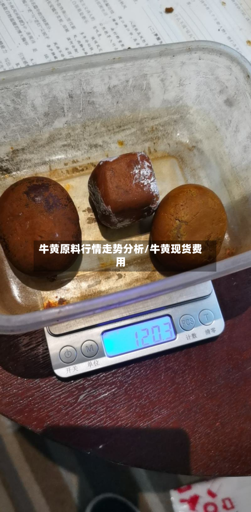 牛黄原料行情走势分析/牛黄现货费用