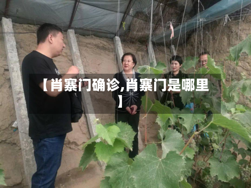 【肖寨门确诊,肖寨门是哪里】