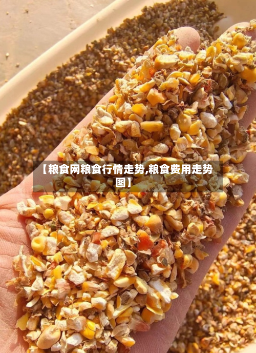 【粮食网粮食行情走势,粮食费用走势图】-第3张图片