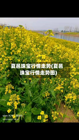 夏邑珠宝行情走势(夏邑珠宝行情走势图)-第2张图片