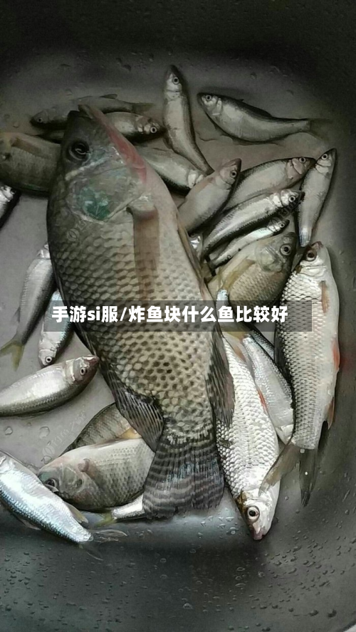 手游si服/炸鱼块什么鱼比较好-第3张图片