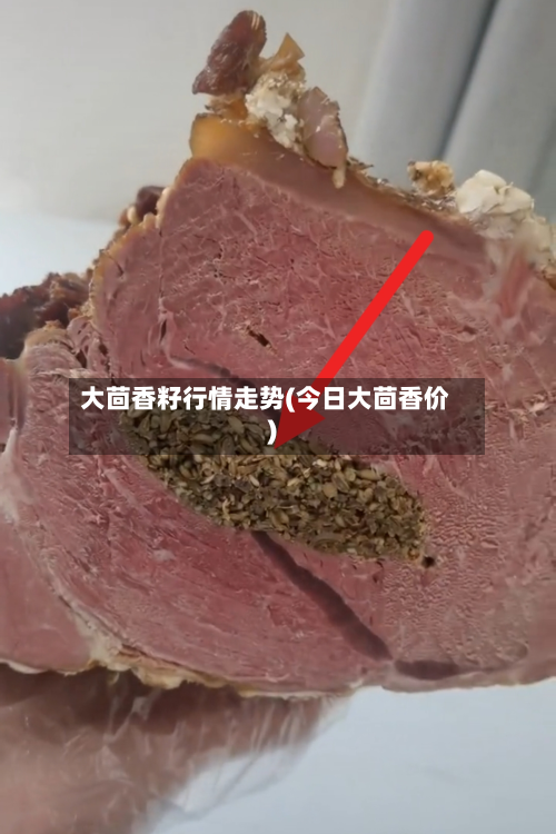大茴香籽行情走势(今日大茴香价)