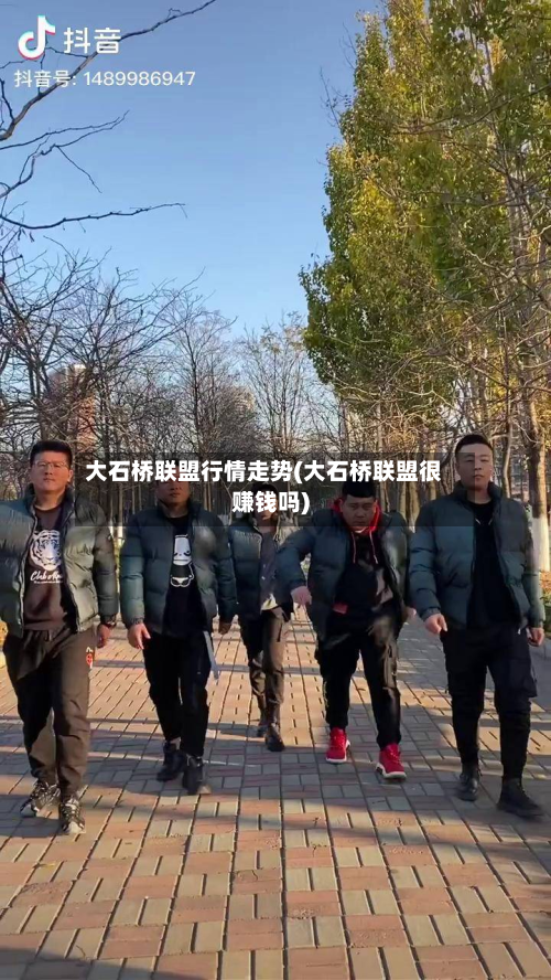 大石桥联盟行情走势(大石桥联盟很赚钱吗)-第2张图片