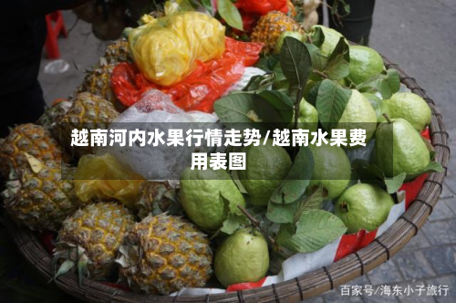 越南河内水果行情走势/越南水果费用表图-第2张图片
