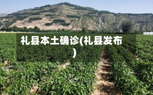 礼县本土确诊(礼县发布)-第3张图片