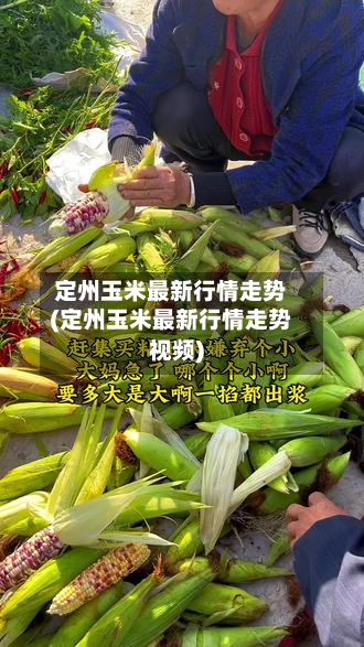 定州玉米最新行情走势(定州玉米最新行情走势视频)-第2张图片