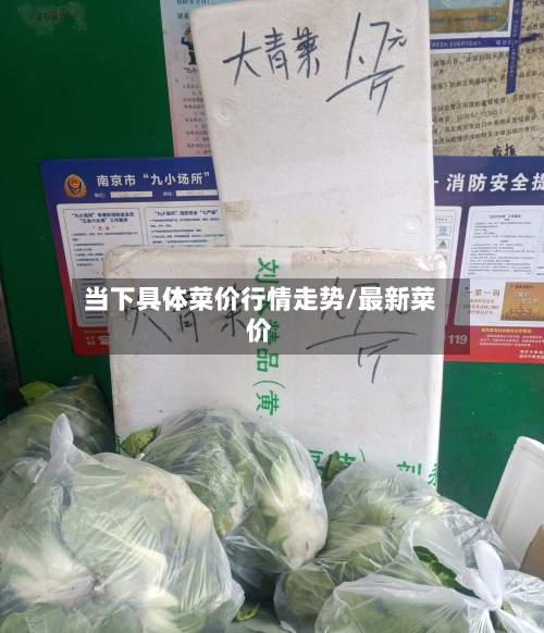 当下具体菜价行情走势/最新菜价