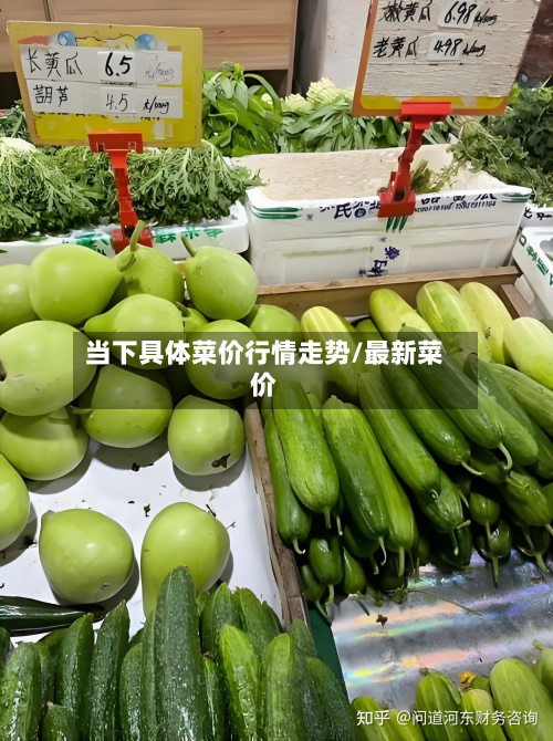 当下具体菜价行情走势/最新菜价-第2张图片