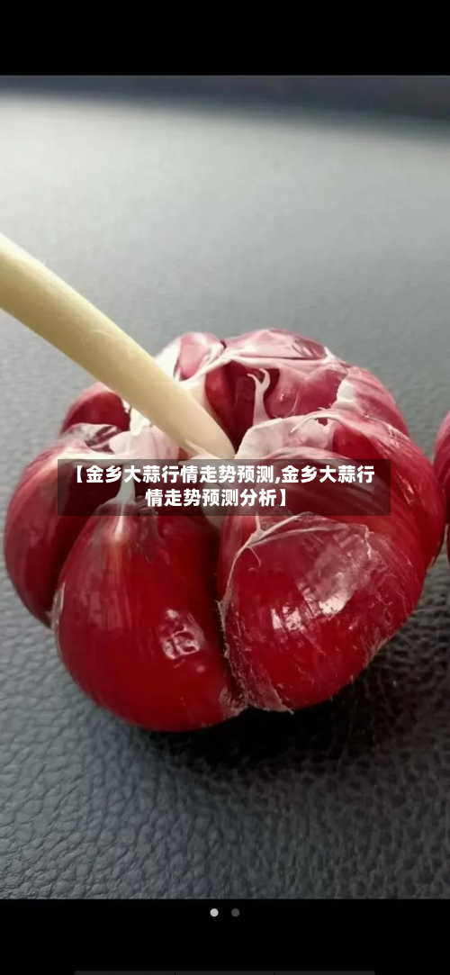 【金乡大蒜行情走势预测,金乡大蒜行情走势预测分析】-第2张图片