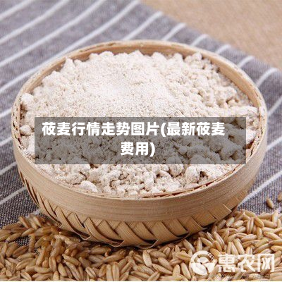 莜麦行情走势图片(最新莜麦费用)-第3张图片