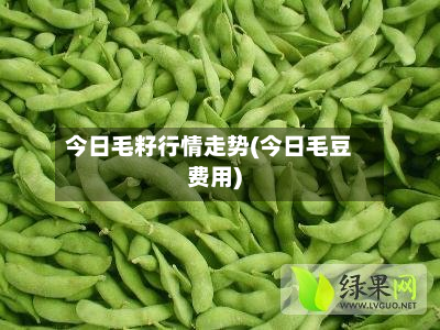今日毛籽行情走势(今日毛豆费用)