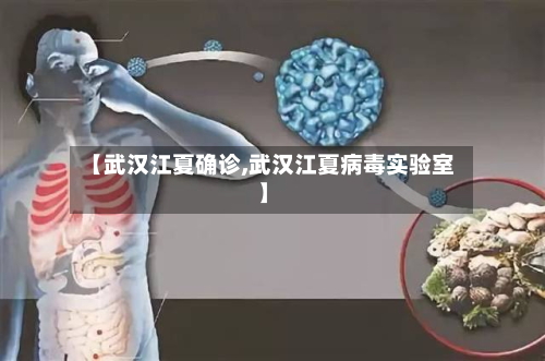 【武汉江夏确诊,武汉江夏病毒实验室】-第2张图片