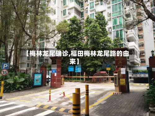 【梅林龙尾确诊,福田梅林龙尾路的由来】-第3张图片