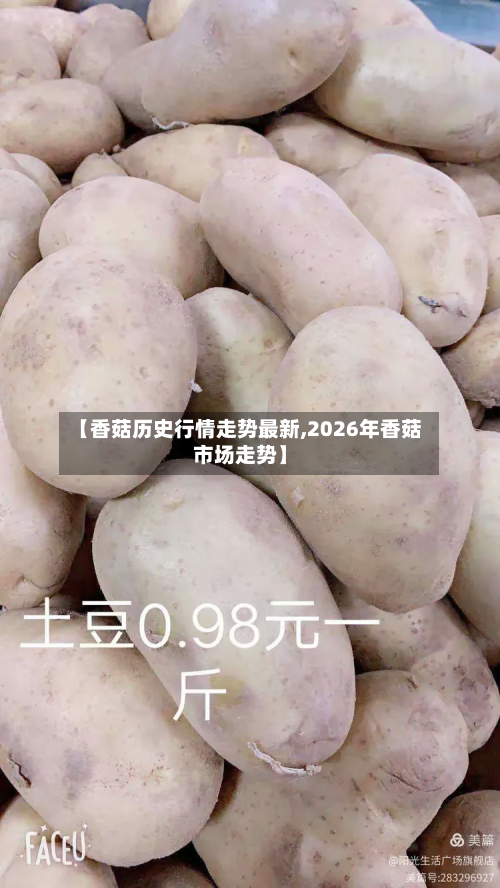 【香菇历史行情走势最新,2026年香菇市场走势】-第3张图片