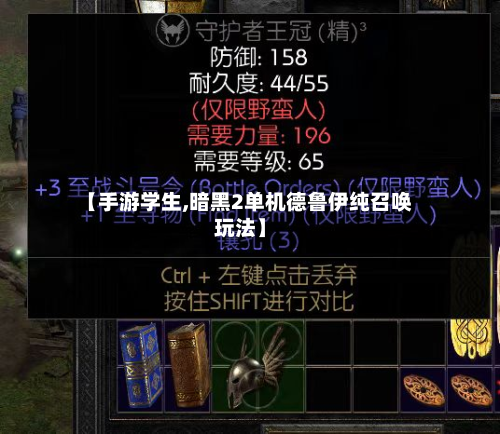 【手游学生,暗黑2单机德鲁伊纯召唤玩法】-第2张图片