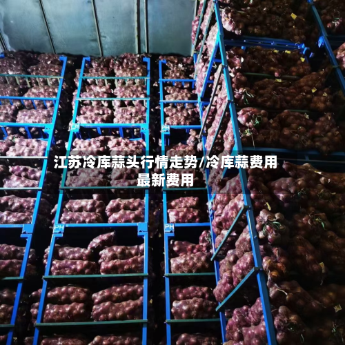 江苏冷库蒜头行情走势/冷库蒜费用最新费用-第2张图片