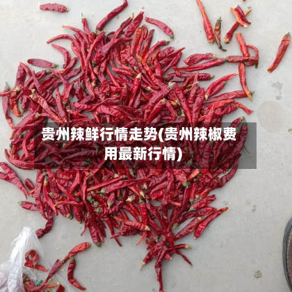 贵州辣鲜行情走势(贵州辣椒费用最新行情)