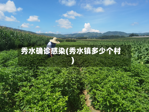 秀水确诊感染(秀水镇多少个村)-第3张图片