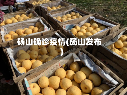 砀山确诊疫情(砀山发布)-第2张图片