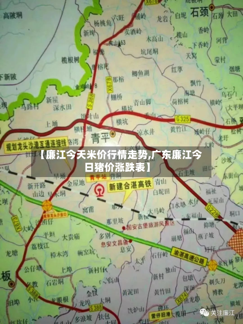 【廉江今天米价行情走势,广东廉江今日猪价涨跌表】-第3张图片