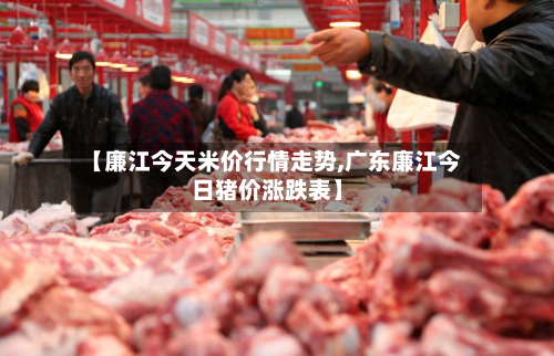 【廉江今天米价行情走势,广东廉江今日猪价涨跌表】-第2张图片