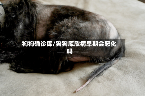 狗狗确诊库/狗狗库欣病早期会恶化吗-第3张图片
