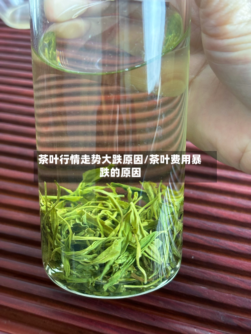茶叶行情走势大跌原因/茶叶费用暴跌的原因-第2张图片