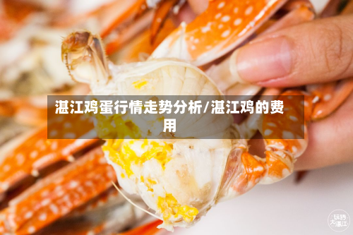 湛江鸡蛋行情走势分析/湛江鸡的费用-第3张图片
