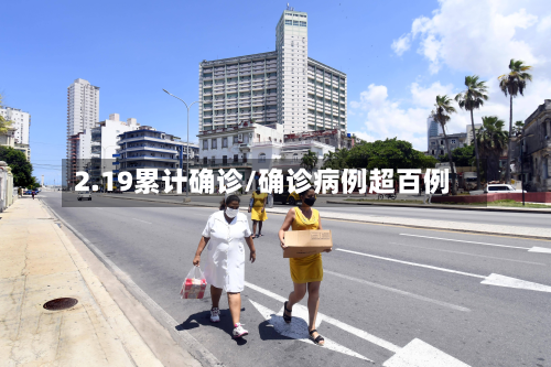 2.19累计确诊/确诊病例超百例-第3张图片