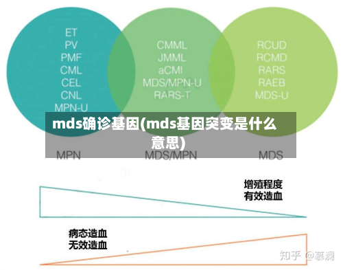 mds确诊基因(mds基因突变是什么意思)