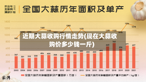 近期大蒜收购行情走势(现在大蒜收购价多少钱一斤)