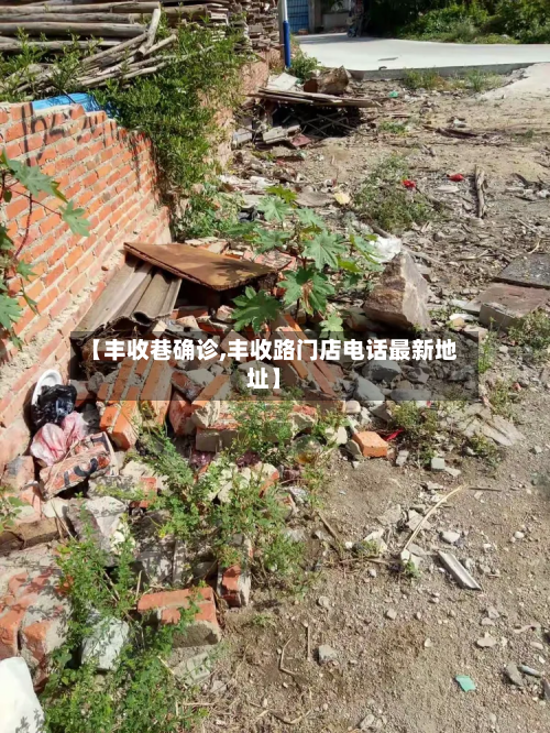 【丰收巷确诊,丰收路门店电话最新地址】