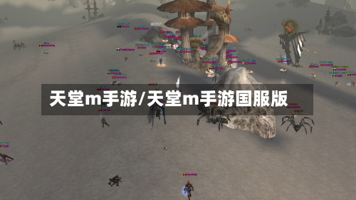 天堂m手游/天堂m手游国服版-第2张图片