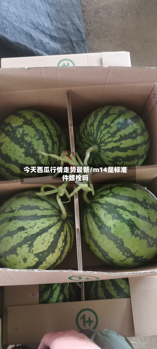 今天西瓜行情走势最新/m14是标准件螺栓吗