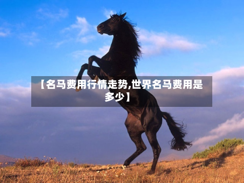 【名马费用行情走势,世界名马费用是多少】-第3张图片