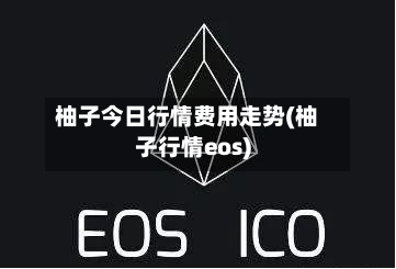 柚子今日行情费用走势(柚子行情eos)-第2张图片