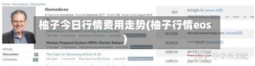 柚子今日行情费用走势(柚子行情eos)-第3张图片