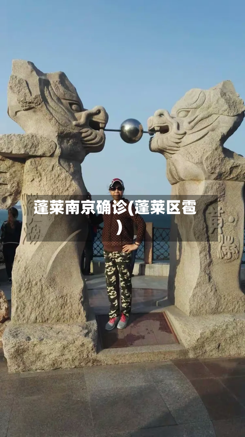蓬莱南京确诊(蓬莱区雹)-第3张图片