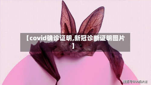 【covid确诊证明,新冠诊断证明图片】-第3张图片