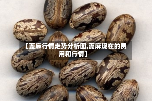 【蓖麻行情走势分析图,蓖麻现在的费用和行情】-第3张图片