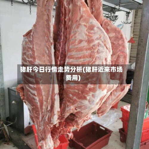 猪肝今日行情走势分析(猪肝近来市场费用)