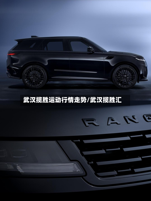 武汉揽胜运动行情走势/武汉揽胜汇