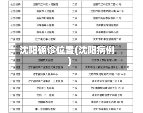 沈阳确诊位置(沈阳病例)