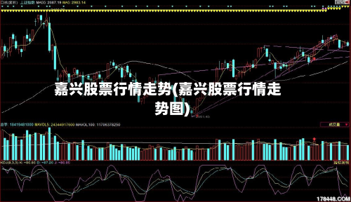 嘉兴股票行情走势(嘉兴股票行情走势图)