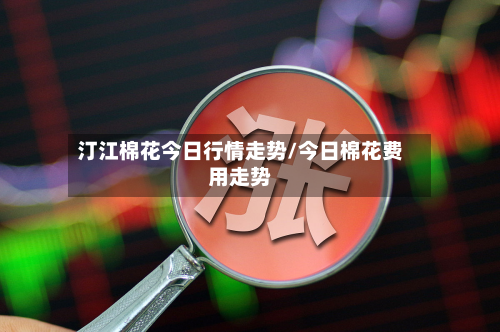 汀江棉花今日行情走势/今日棉花费用走势