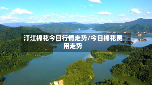 汀江棉花今日行情走势/今日棉花费用走势-第3张图片