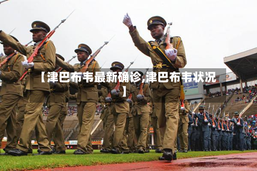 【津巴布韦最新确诊,津巴布韦状况】-第2张图片