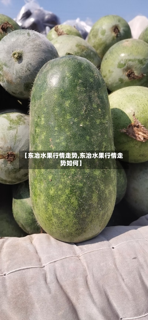 【东冶水果行情走势,东冶水果行情走势如何】-第2张图片