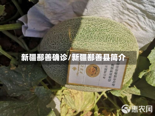新疆鄯善确诊/新疆鄯善县简介-第3张图片