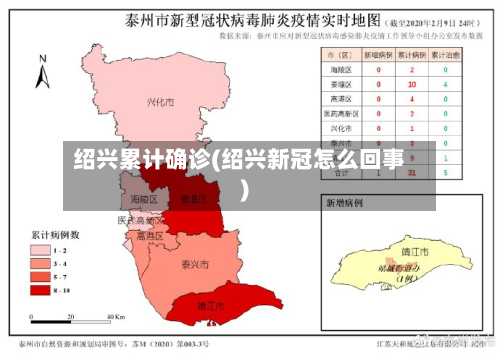 绍兴累计确诊(绍兴新冠怎么回事)-第2张图片